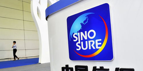 中國信保上半年承保金額超4450億美元